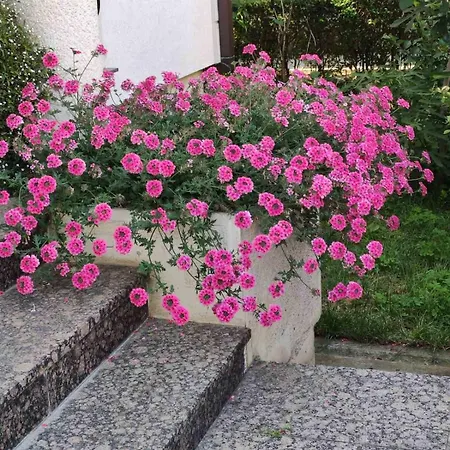 Guest house Sentic