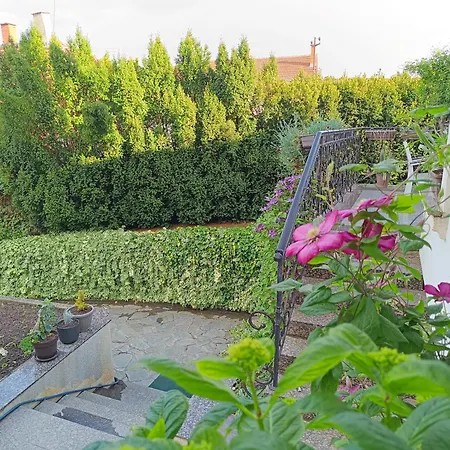 Pensión Sentic Vranje