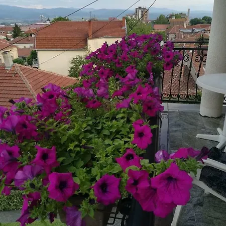 Sentic Pensión Vranje