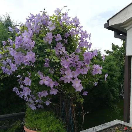 Sentic ゲストハウス